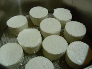 cheese making