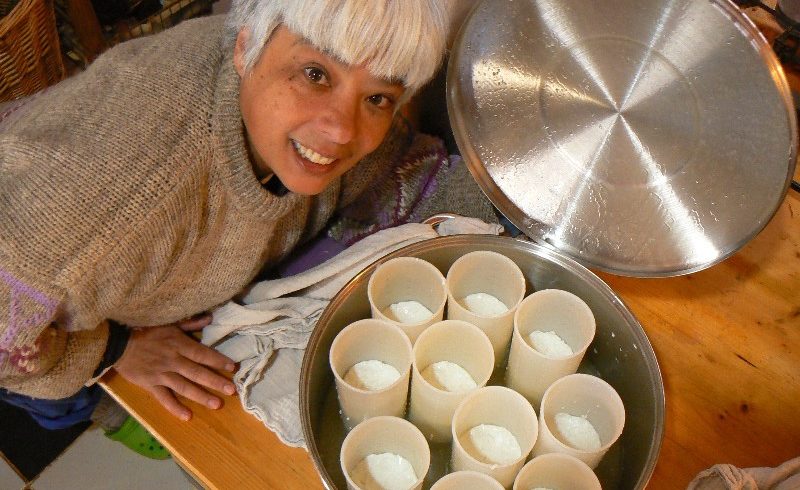 Fresh cheese making