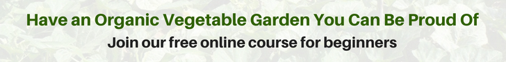Vegetable garden course