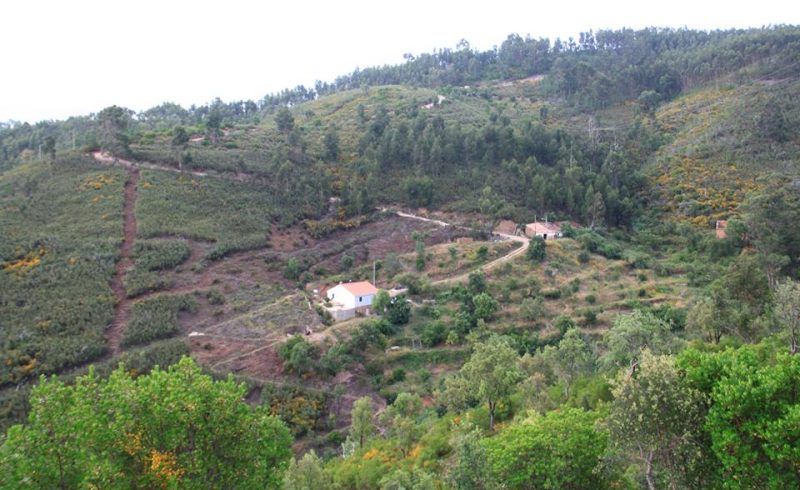 Terra do Milho land viewed from a distance