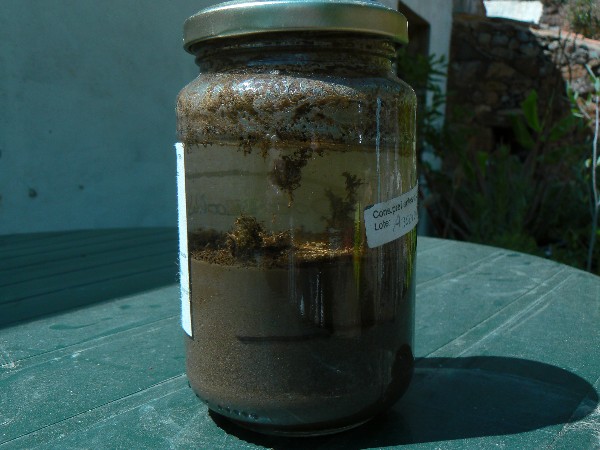 soil test with jar