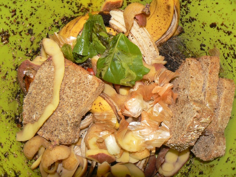 Don’t waste food, for a more sustainable household.