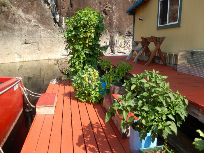 Deck garden