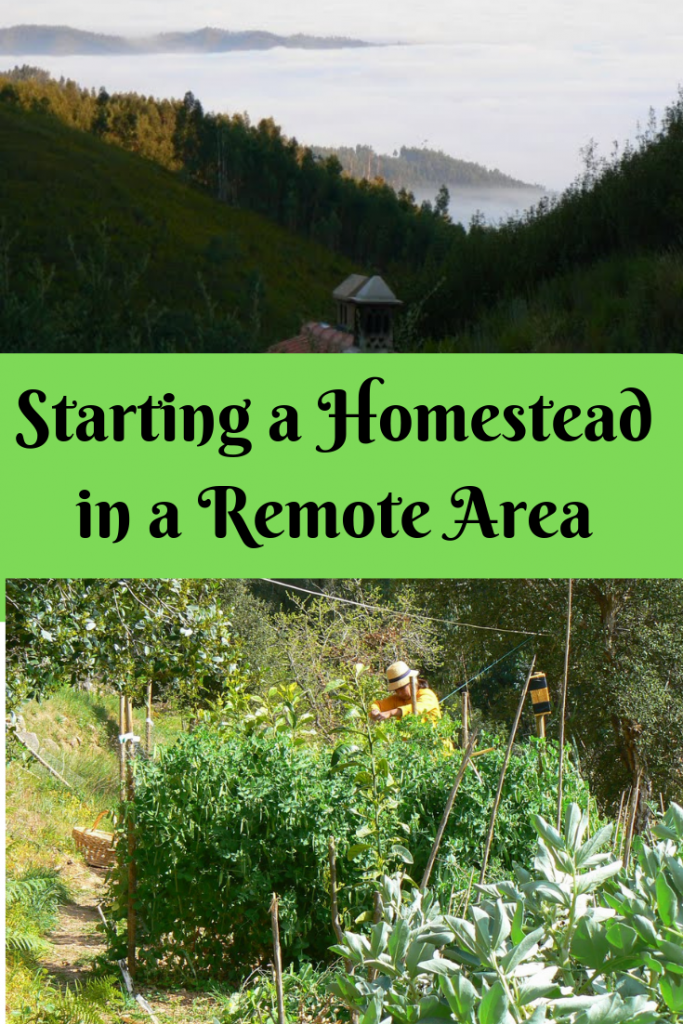 Starting a Homestead