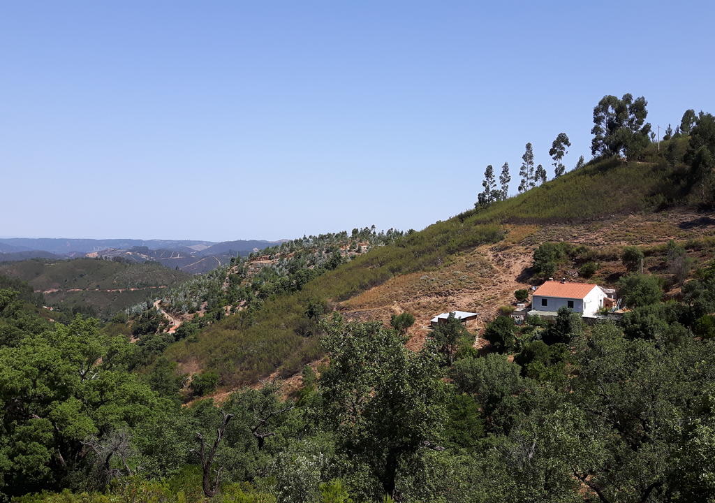 Starting a Homestead In a Remote Area.
