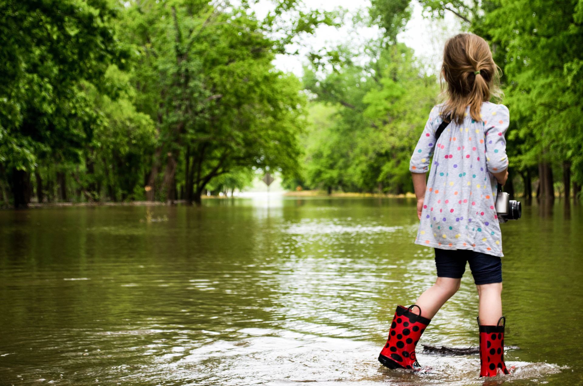 6 Things to Avoid When Picking Your Homestead Location