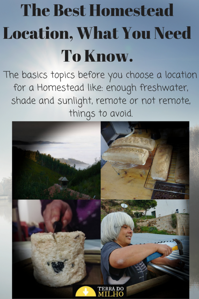 Pinterest Pin for the best Homestead Location