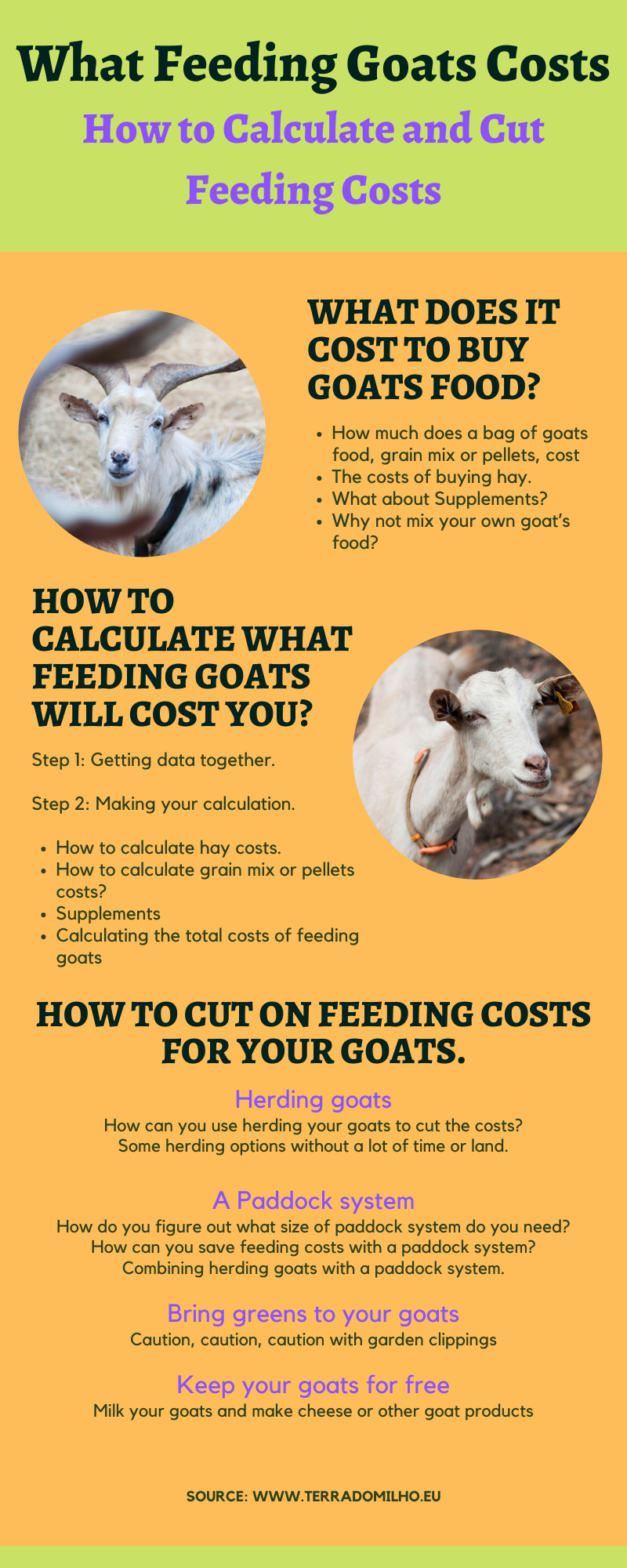 Infograf What feeding goats costs